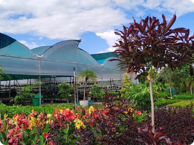 Creating Sustainable Landscapes Since 2001