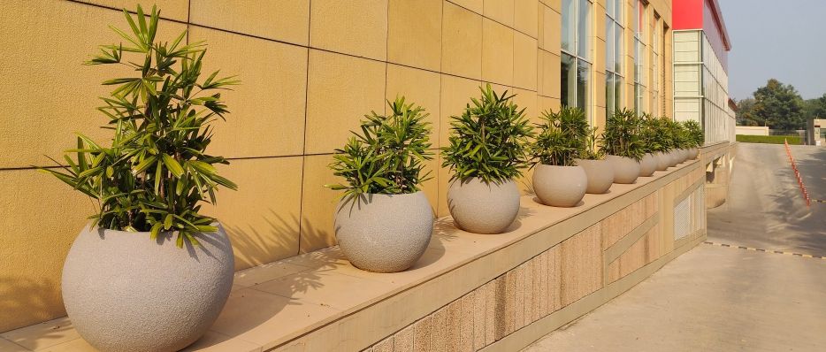 FRP Planters