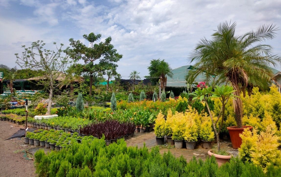 Nursery