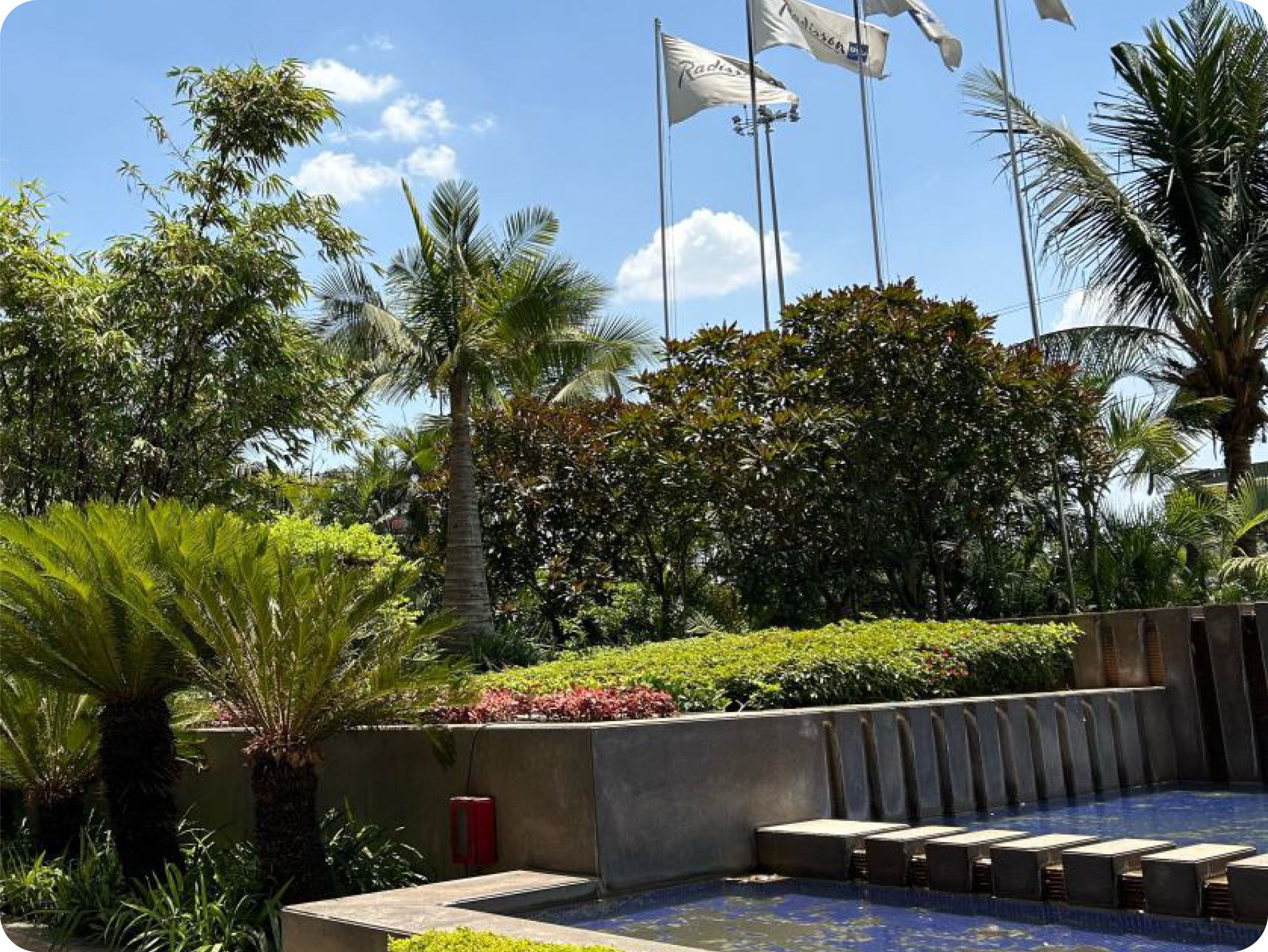 Bring Nature Into Your Workplace