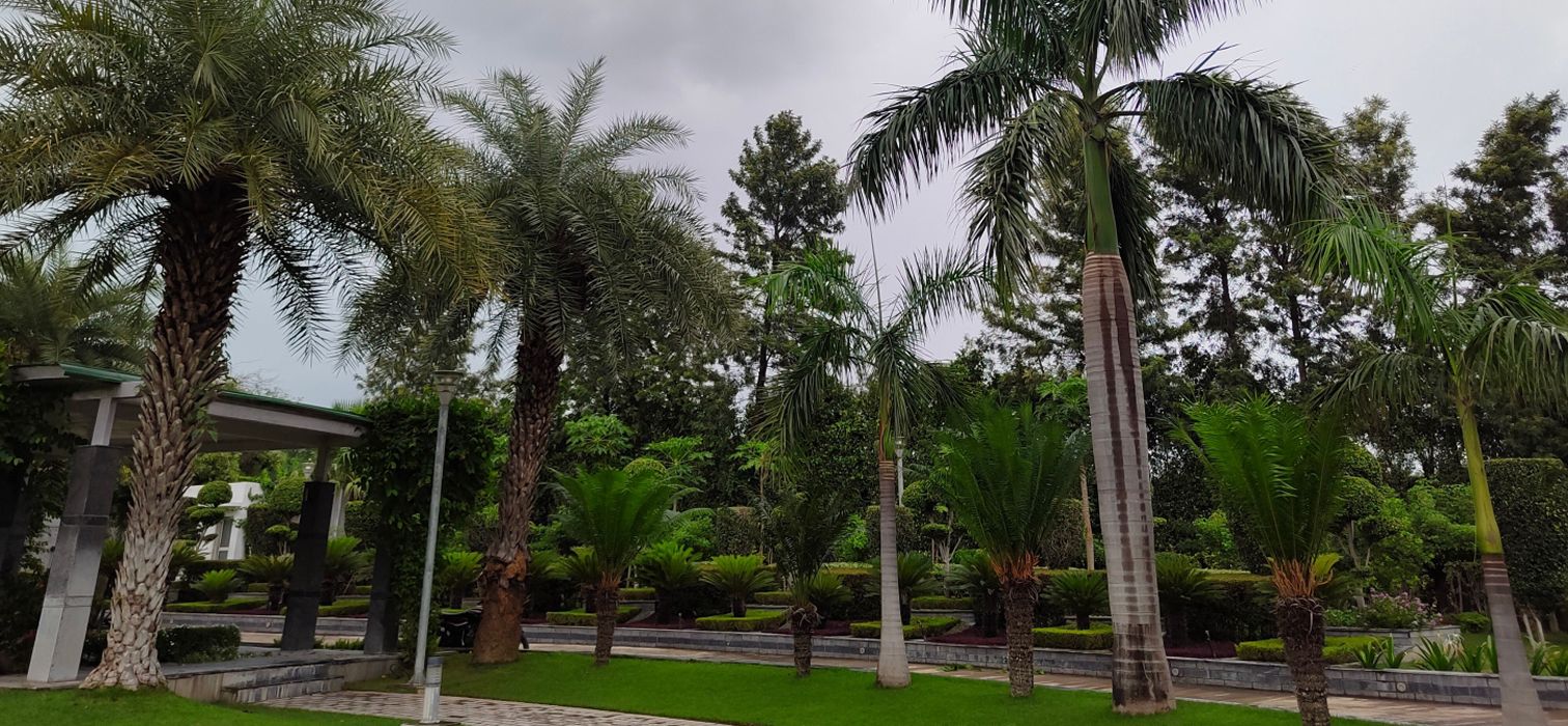 Landscape Maintenance