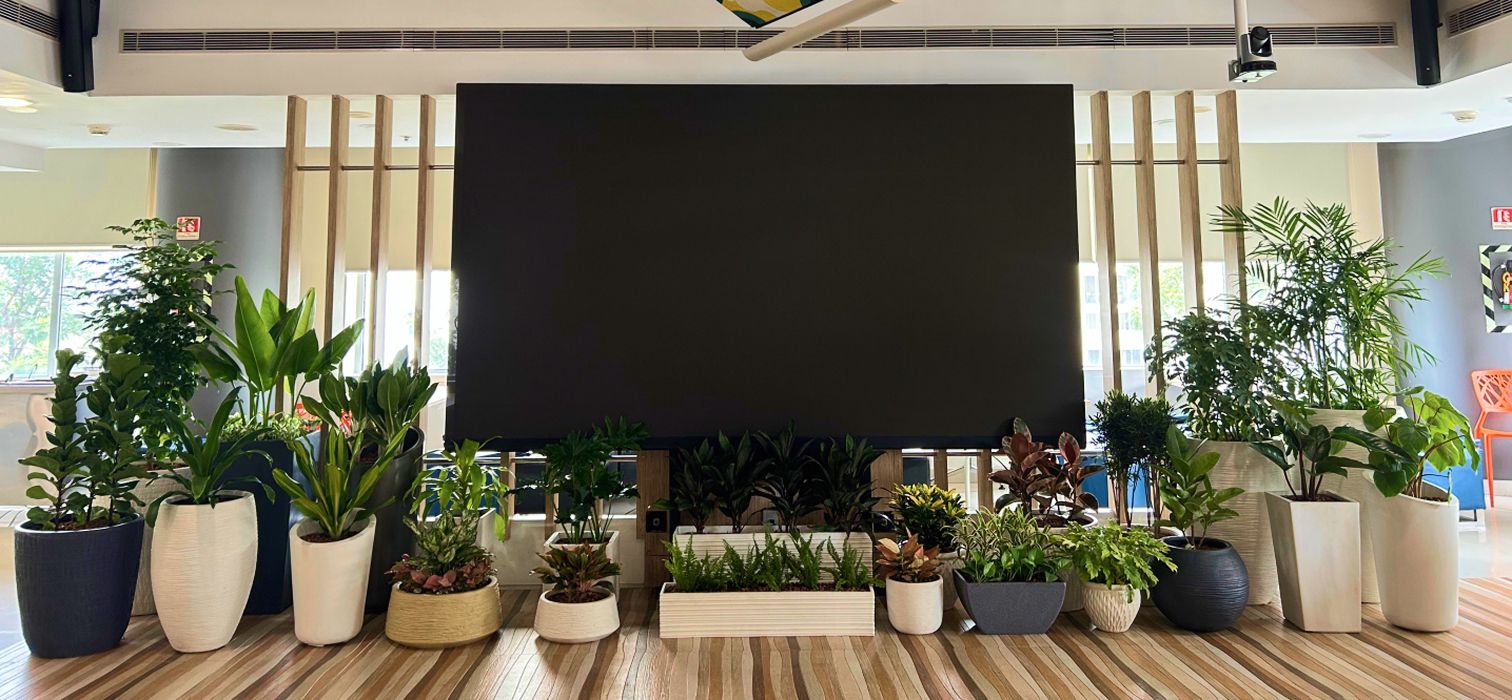 Plant Rental